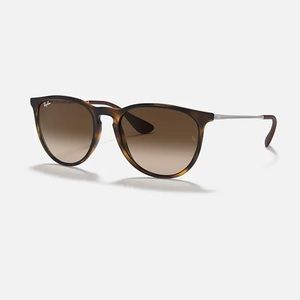 Ray Ban Erika sunglasses